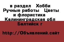 в раздел : Хобби. Ручные работы » Цветы и флористика . Калининградская обл.,Балтийск г.